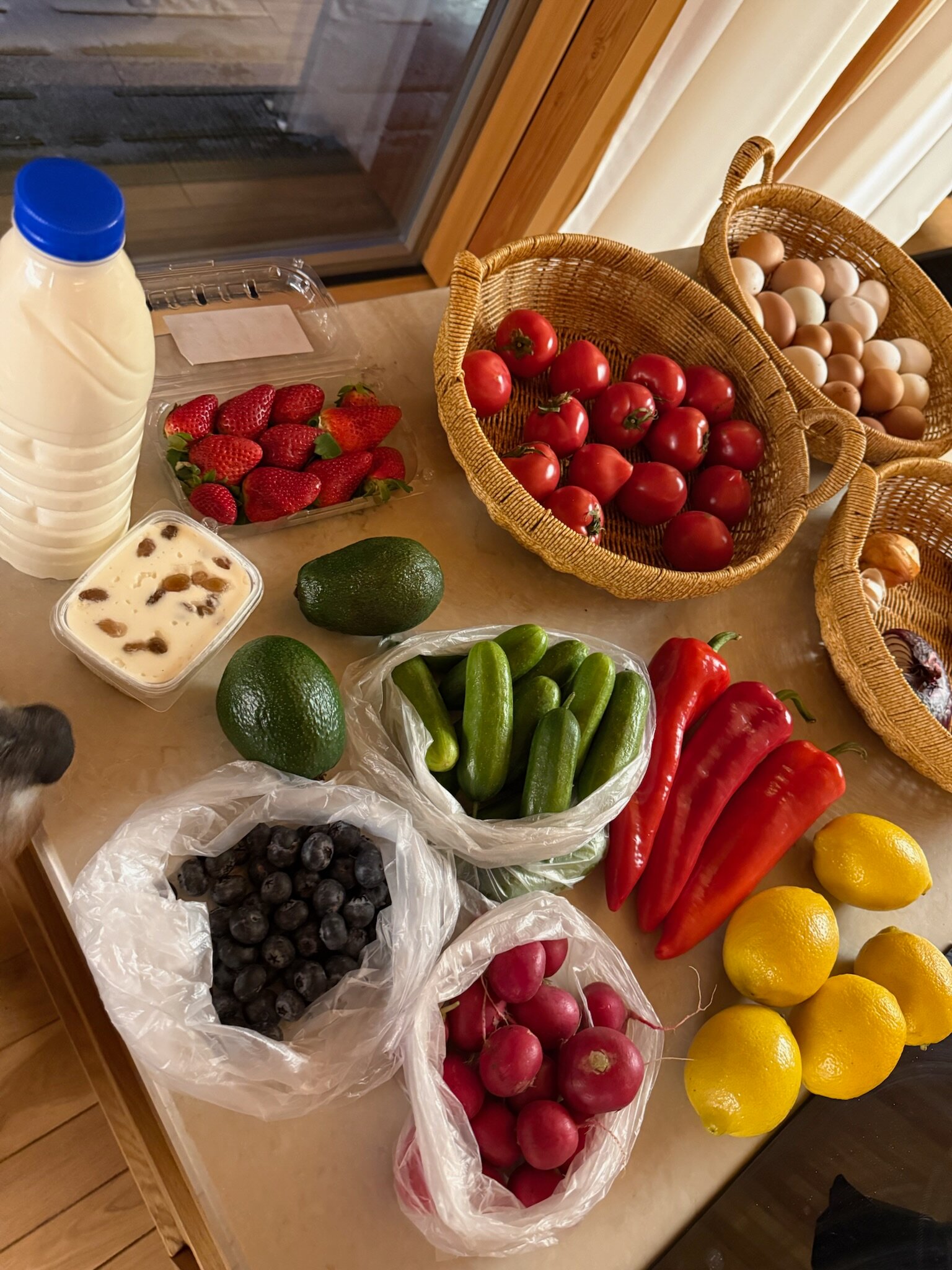 Фото Дар. Велегож