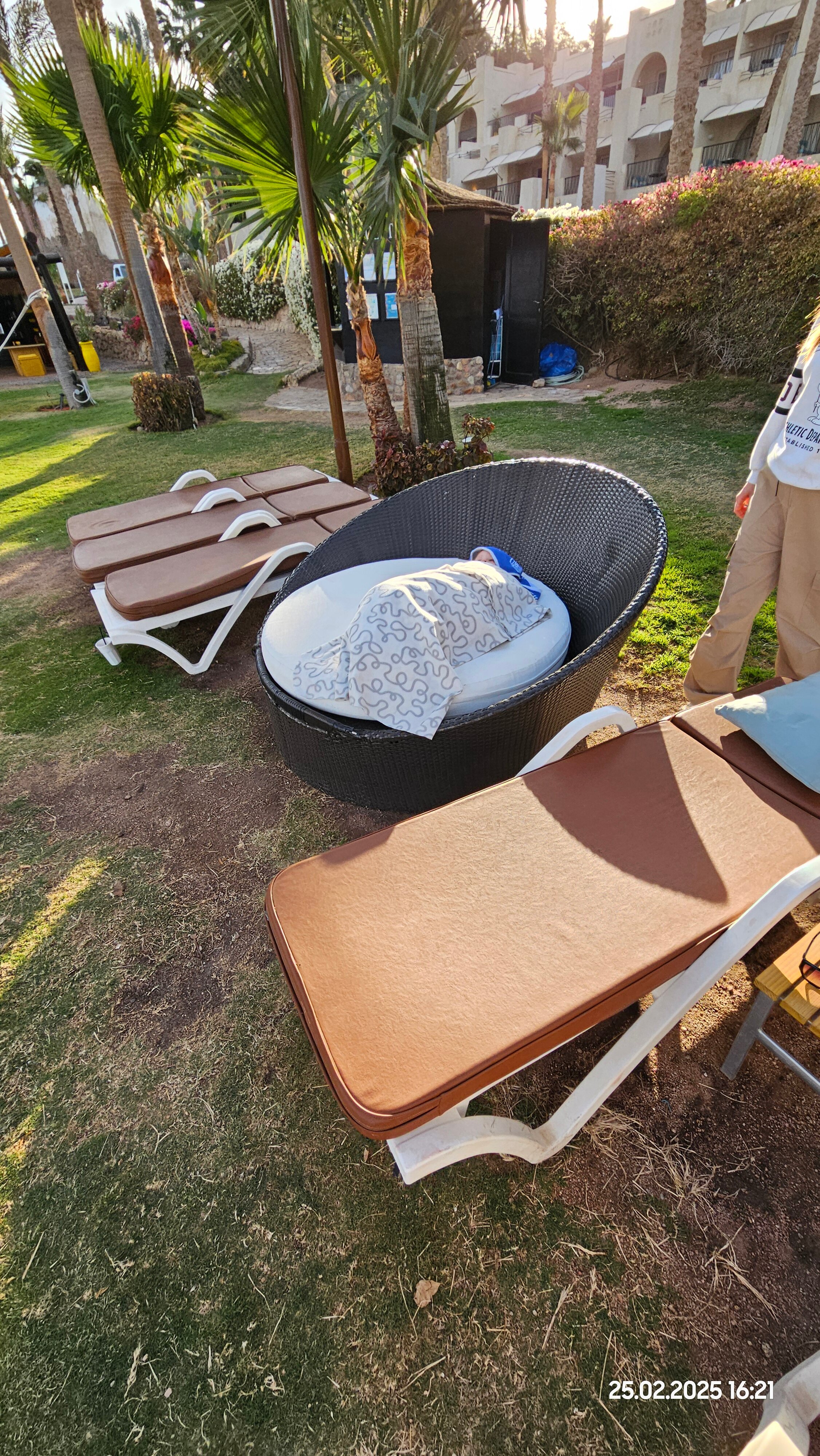 Фото Grand Rotana Resort & SPA 