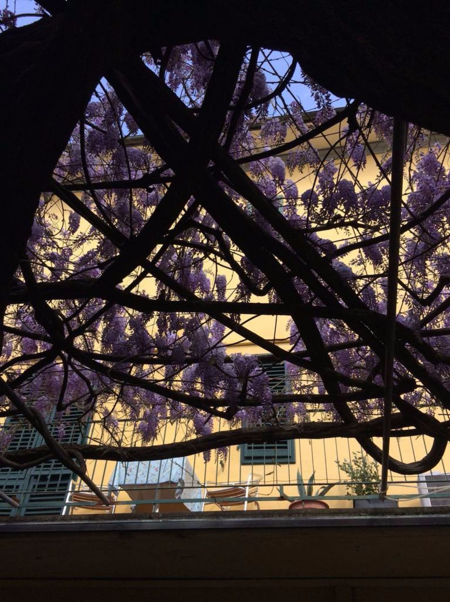 Фото Hotel Stipino