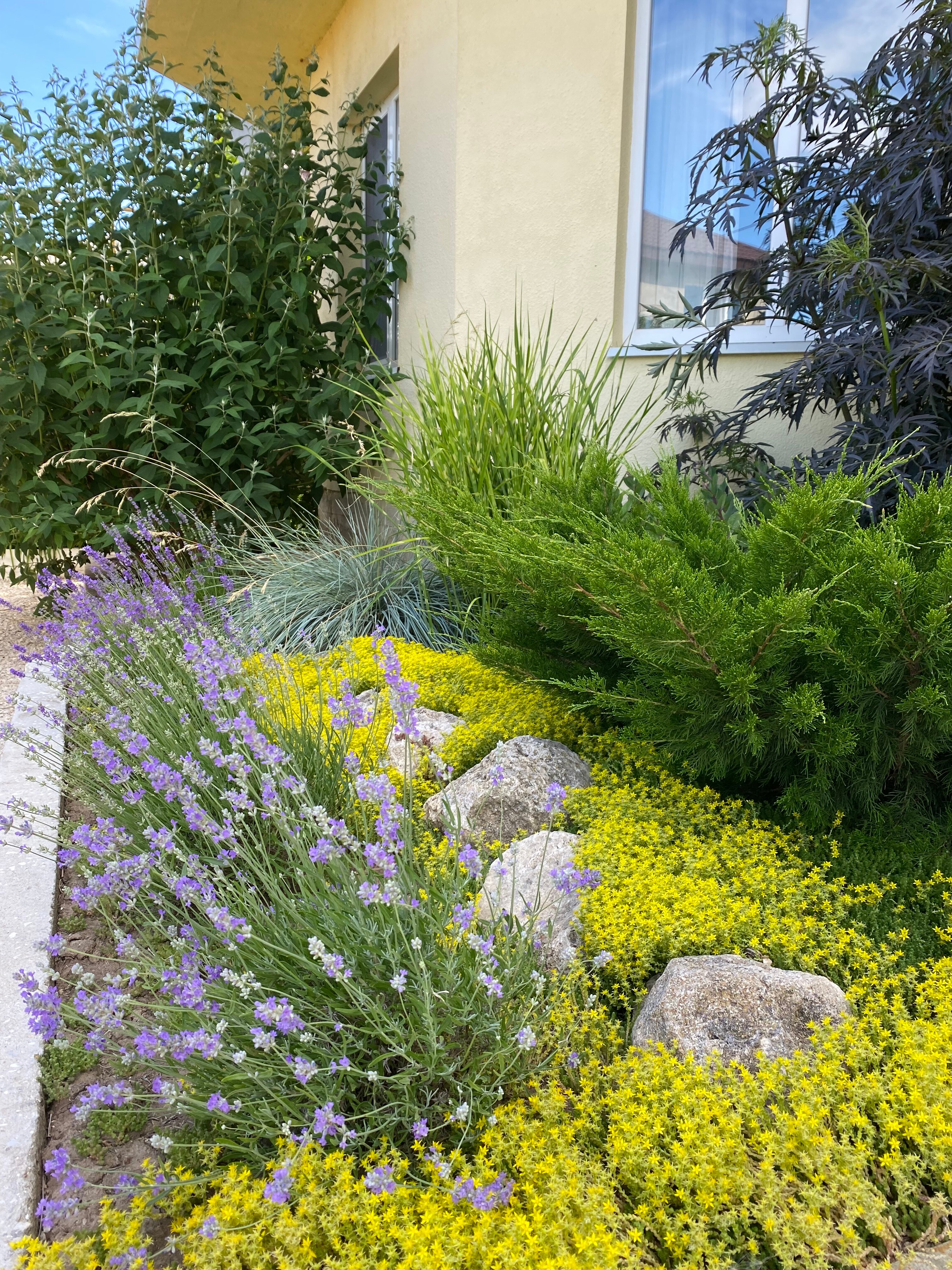 Фото Вилла Сиеста