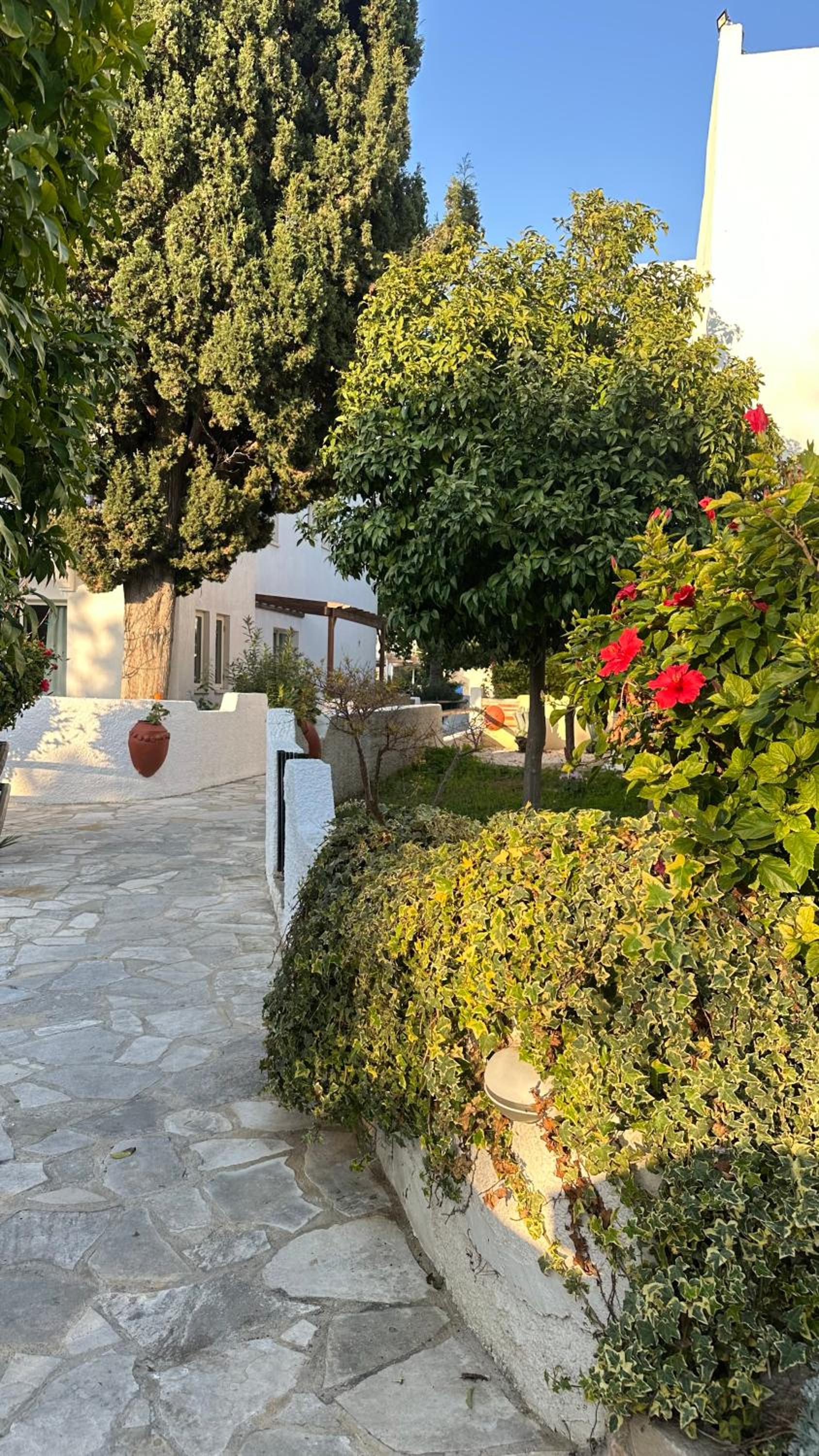 Фото Paphos Gardens Holiday Resort