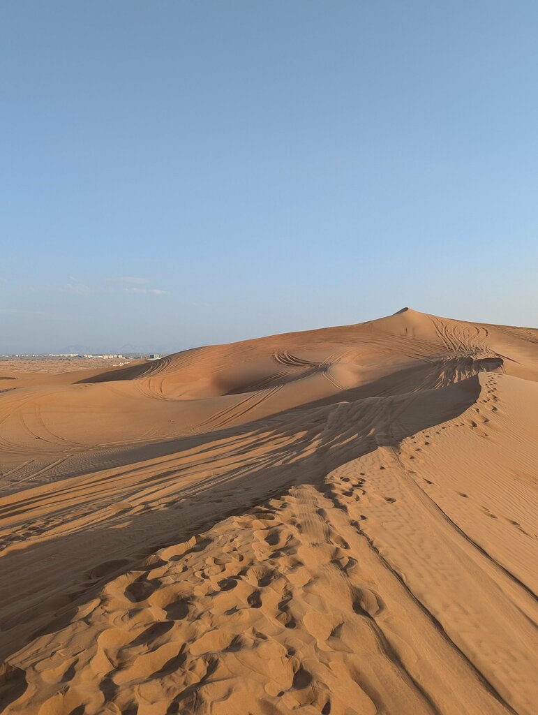 Travel agency Xactivity, Emirate of Sharjah, photo