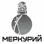 Меркурий (Eleny Stasovoy Street, 50), professional development center