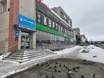 Payment terminal (Kolskiy Avenue, 18), payment terminal