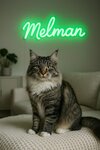 Melman (mikrorayon Novaya Derevnya, Naberezhnaya ulitsa, 35к5), pet shop