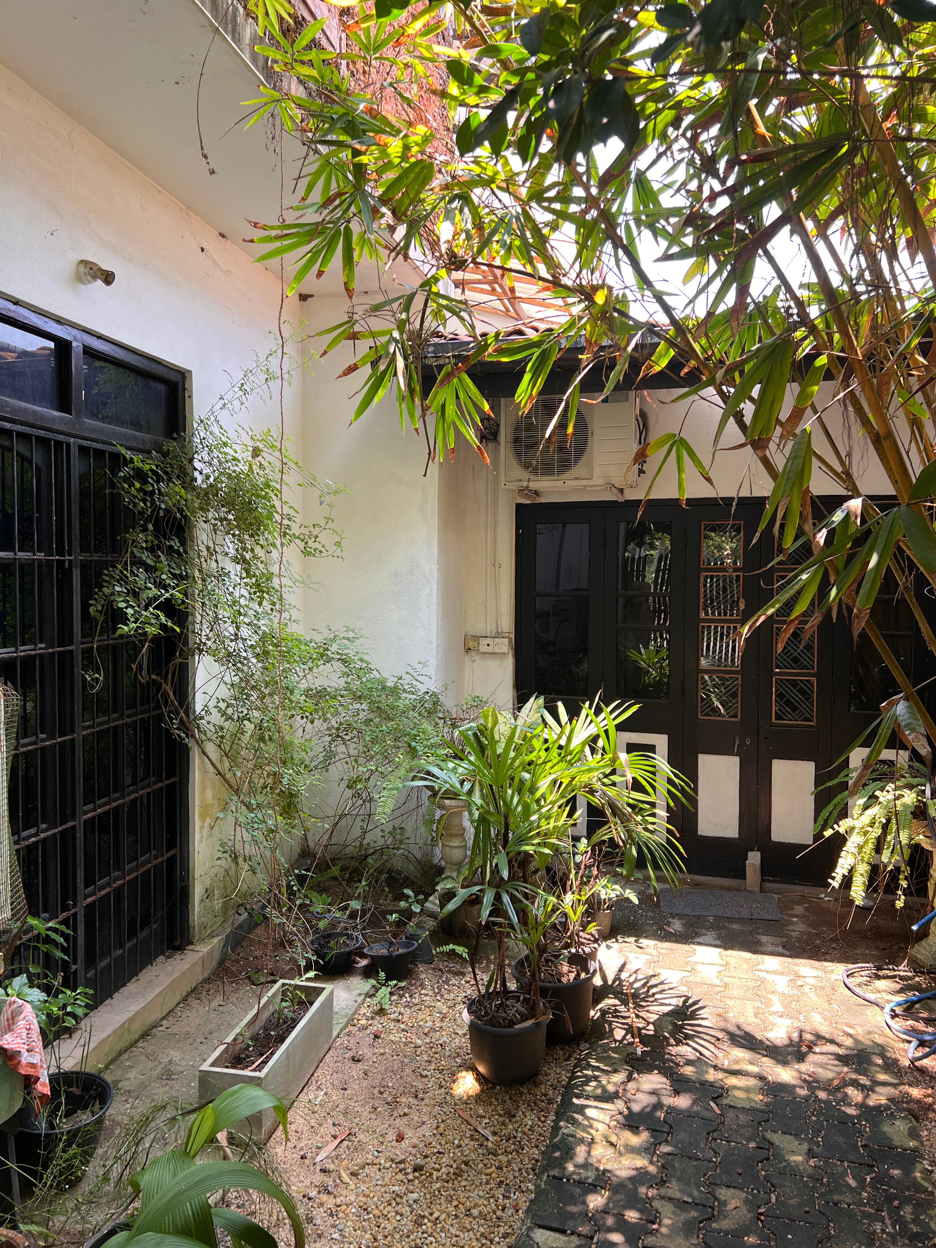 Фото Whispering Ocean