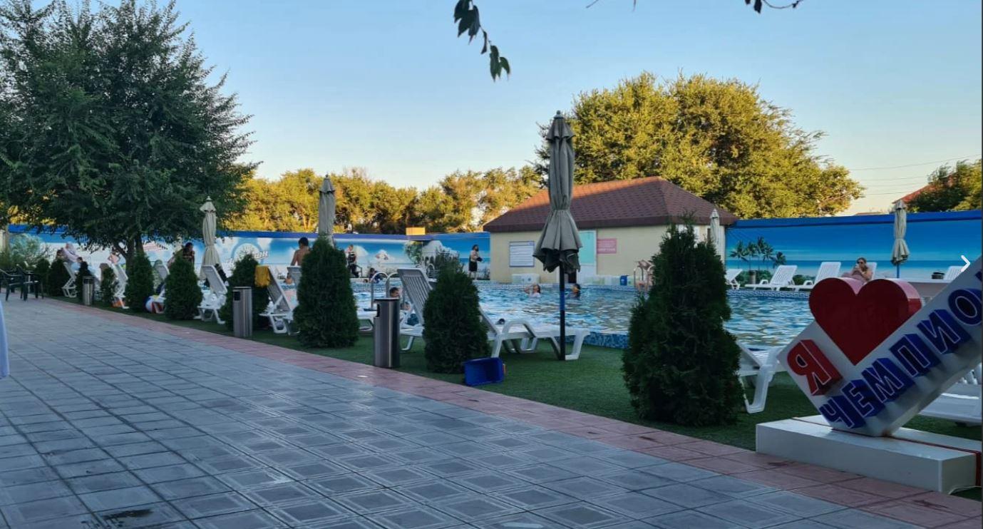 Фото Чемпион