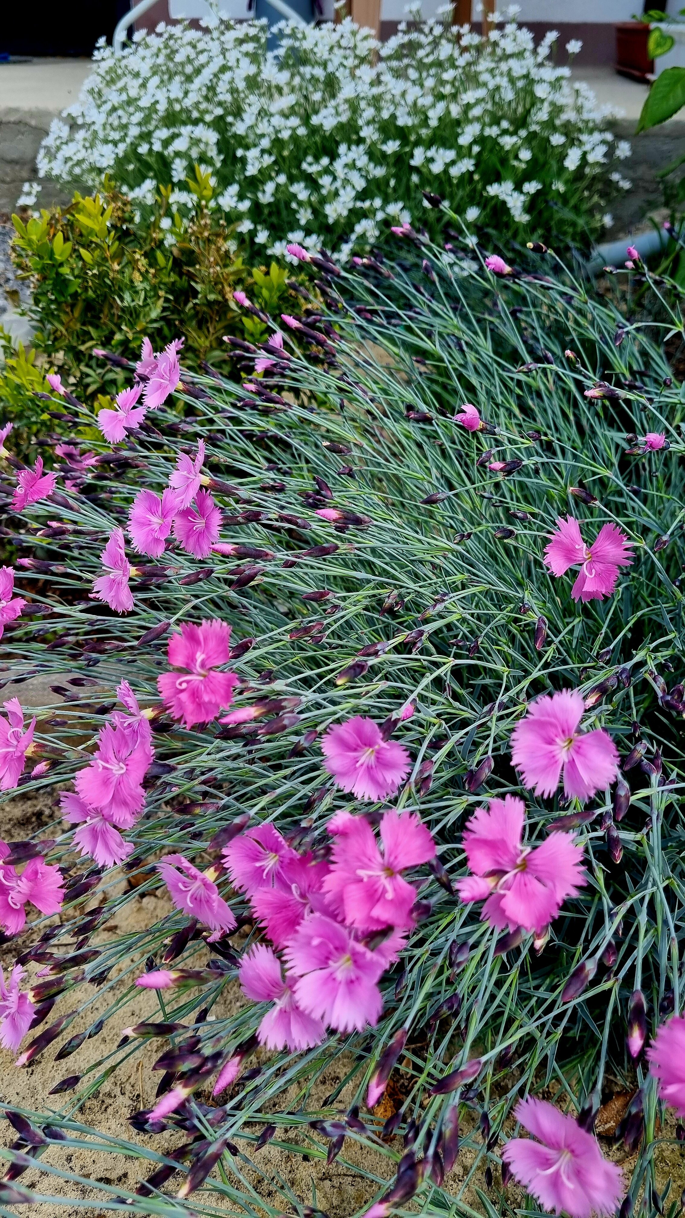 Фото Белый Дом