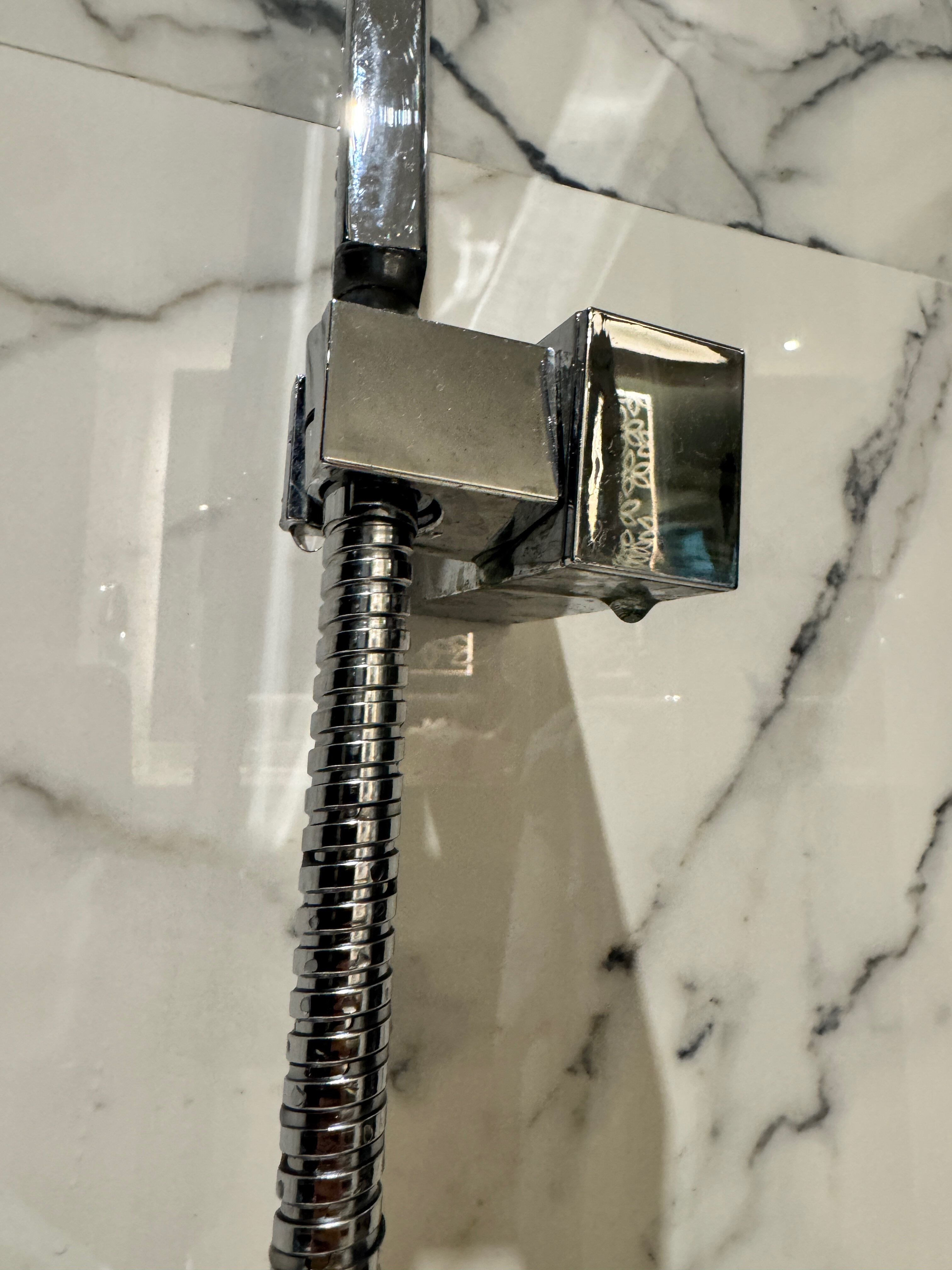 Фото Taj Hotel & Convention Centre, Agra