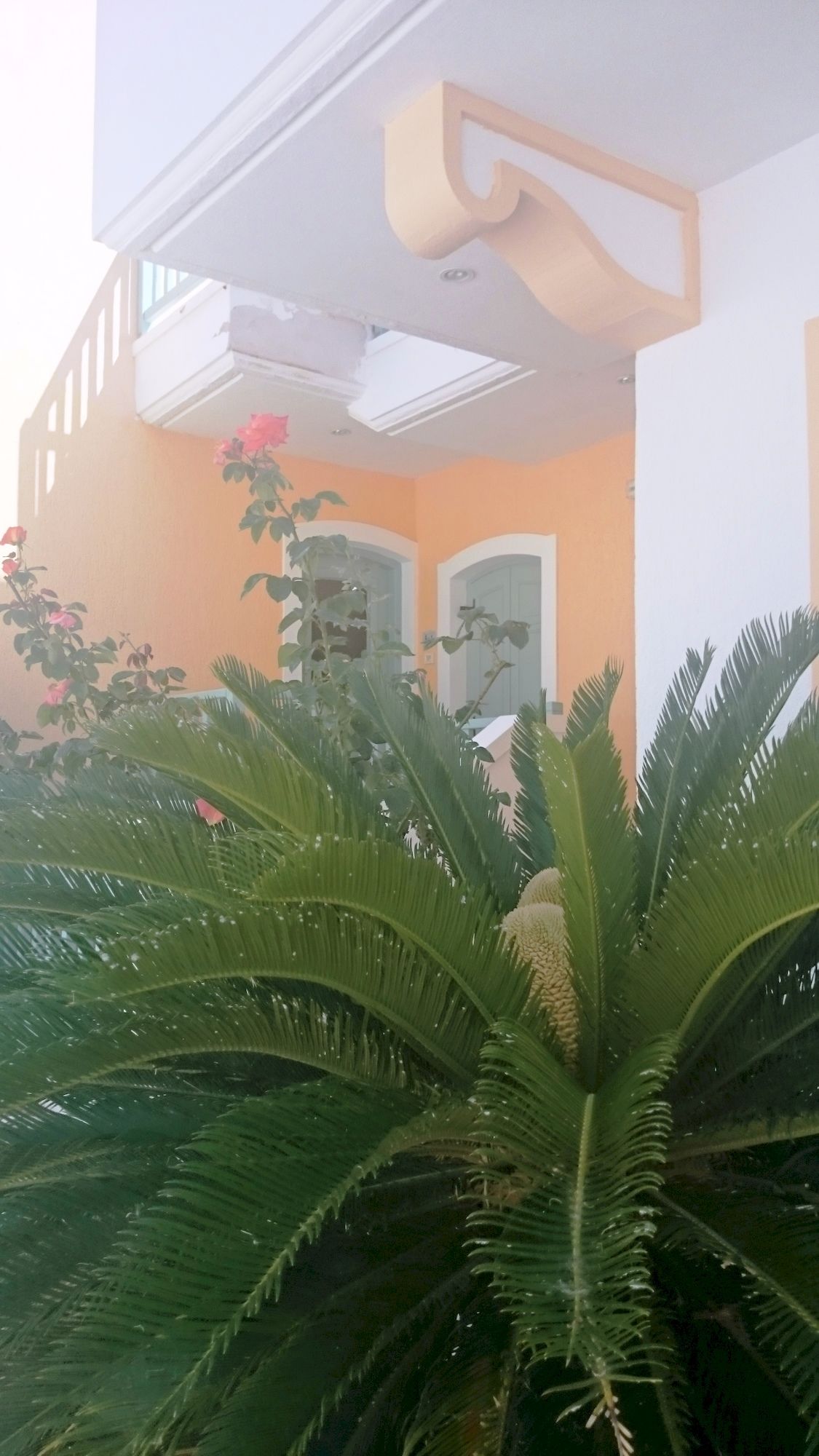 Фото Amazones Sun Studios