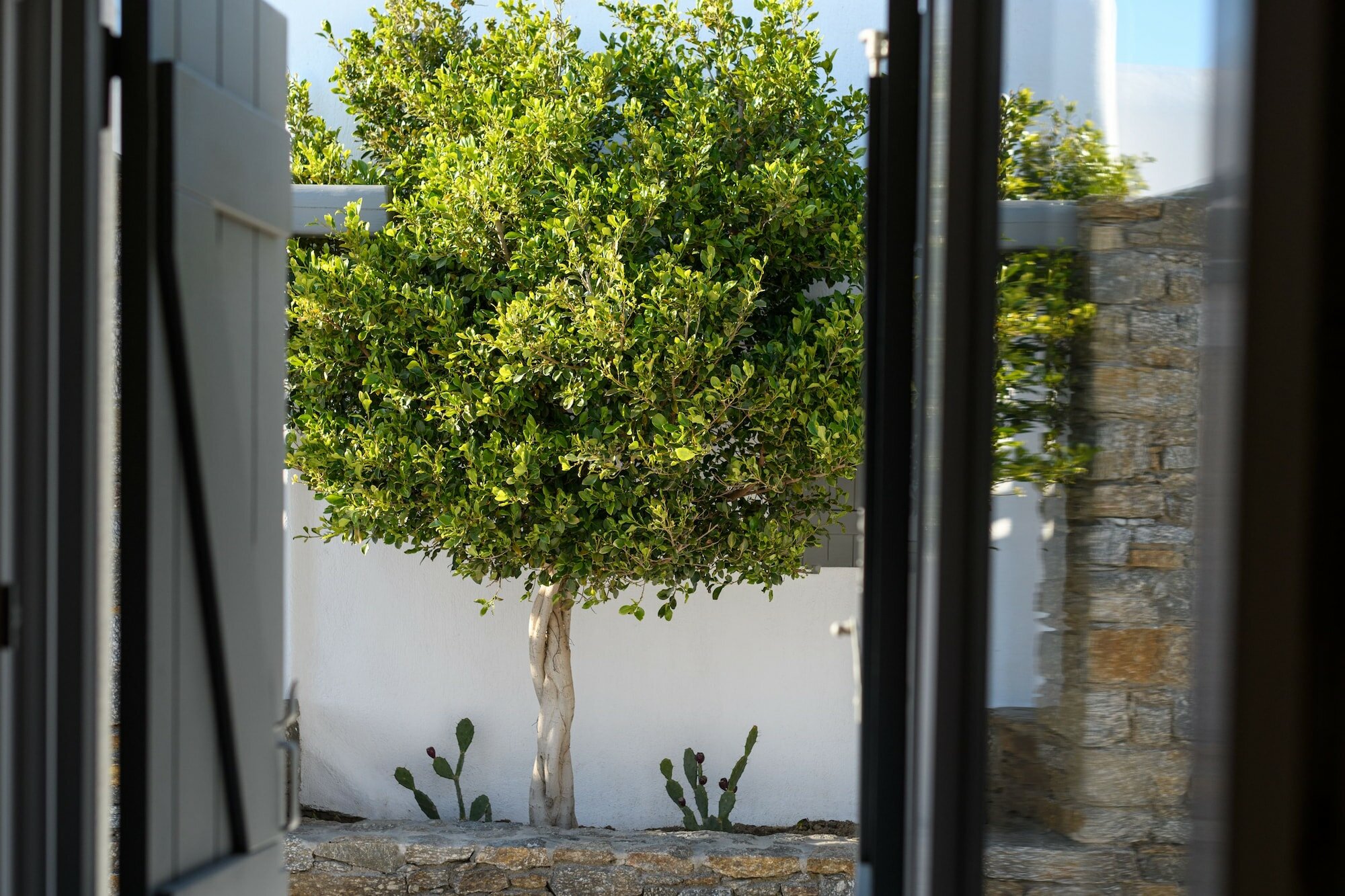 Фото Olive Mykonos Villas