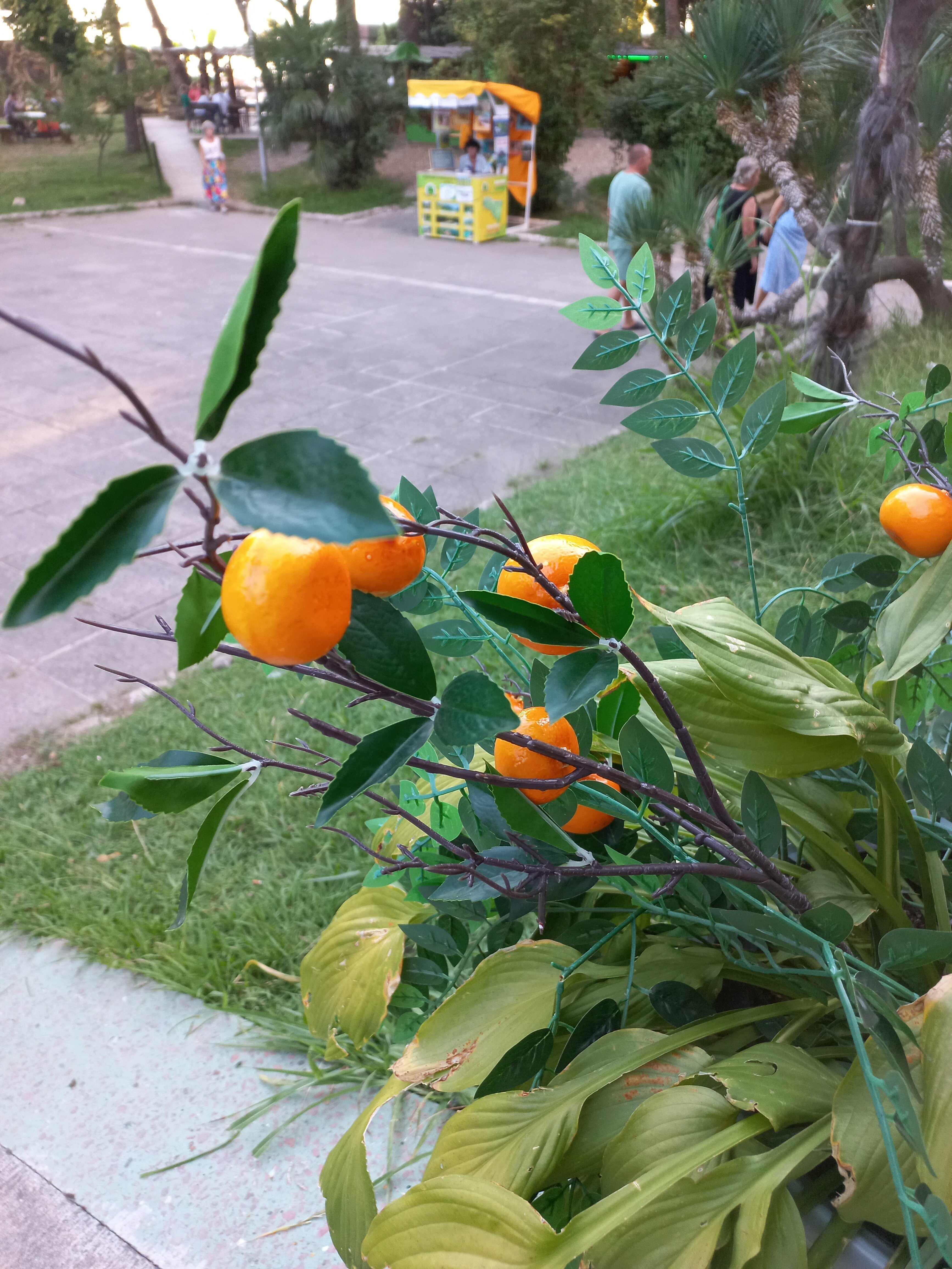 Фото Каракас