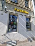 Товары для рыбалки (Kolpinskaya Street, 15), fishing gear and supplies