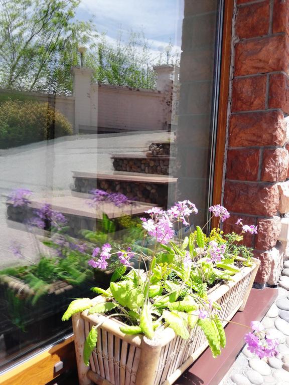 Фото Бумеранг