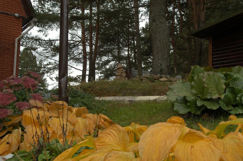 Фото Смоленка