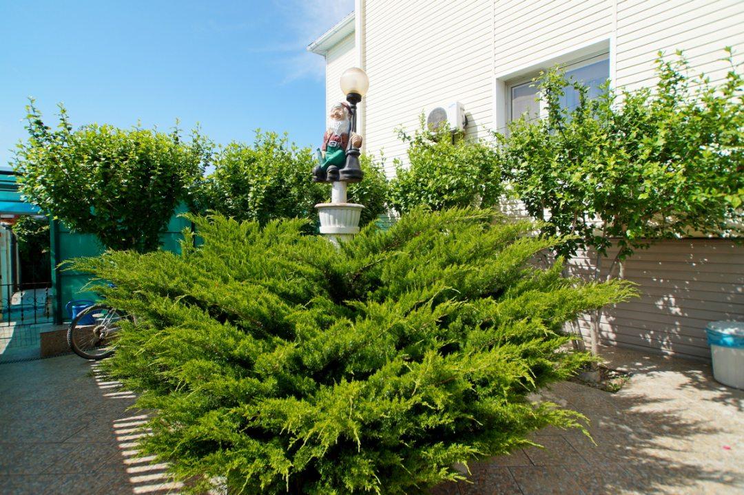 Фото Три богатыря