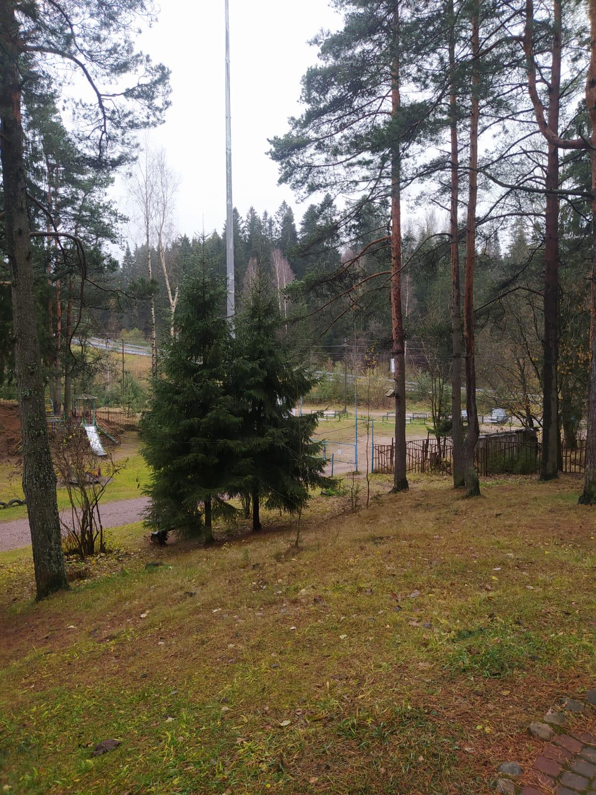 Фото Динамо