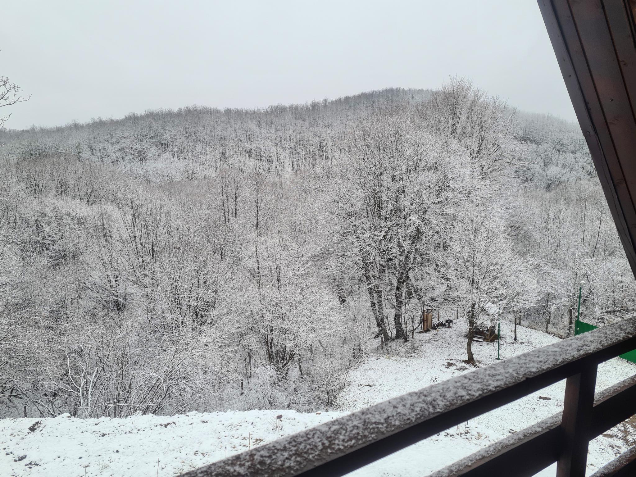 Фото Риал Лаго Наки