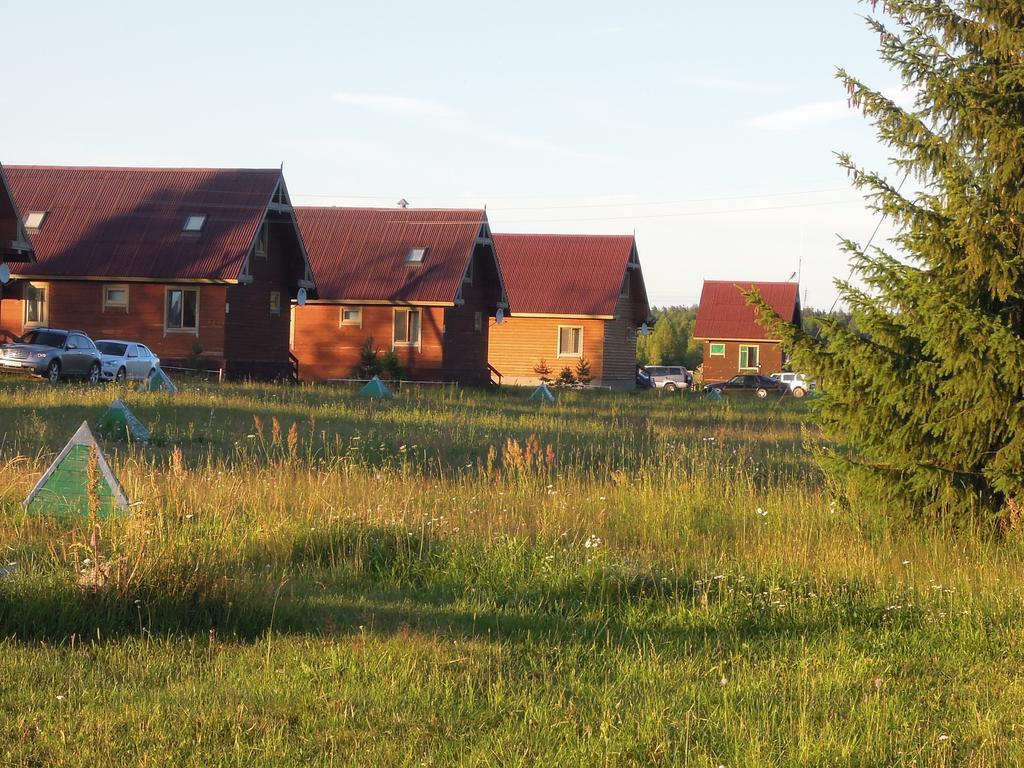 Фото Медведица