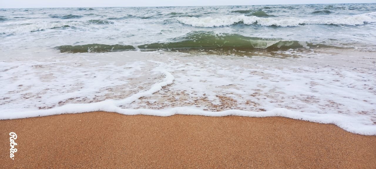 Фото У Петровича