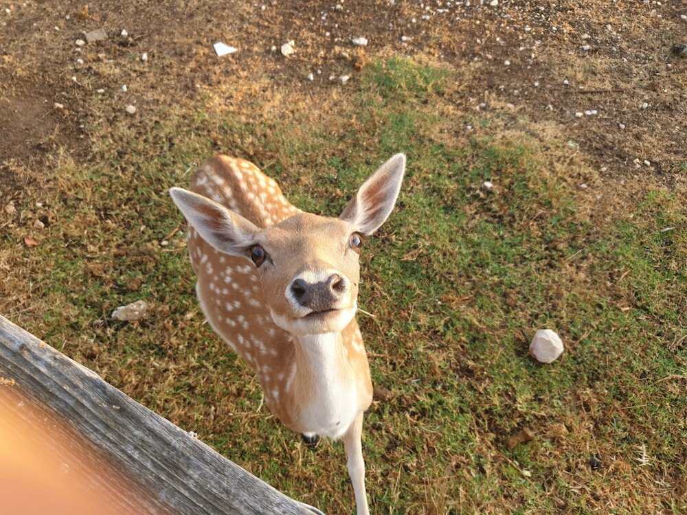 Фото Quinta das Origens