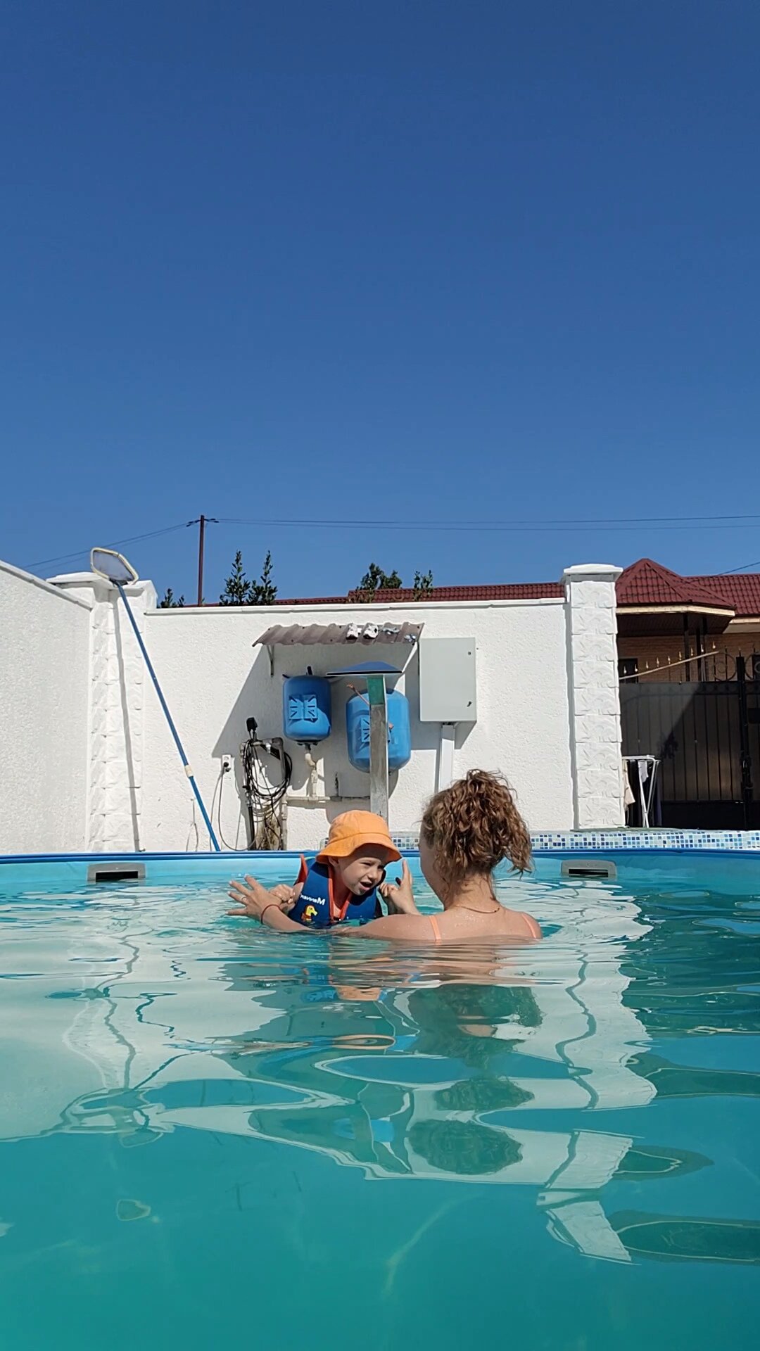 Фото Платан