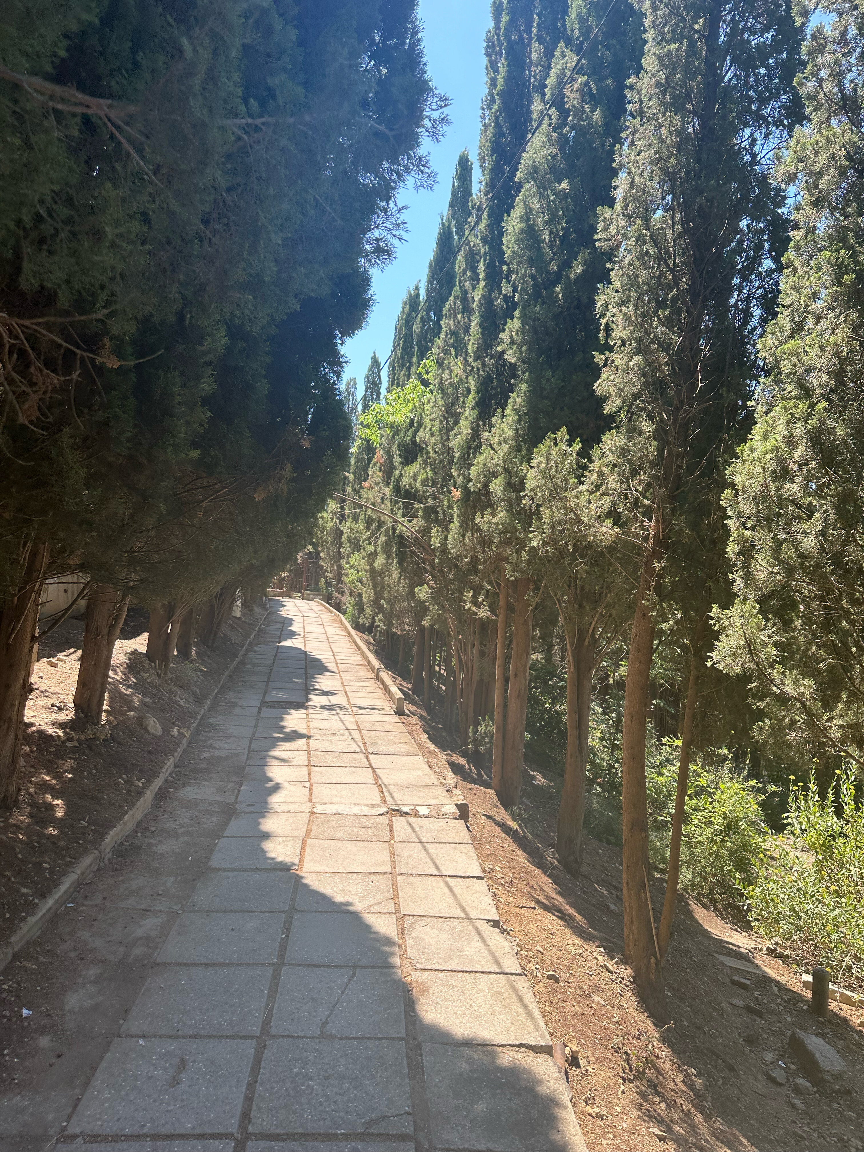 Фото Вероника