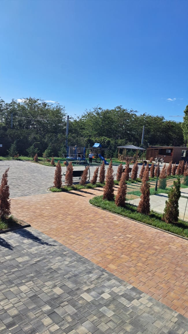 Фото Зеленый двор