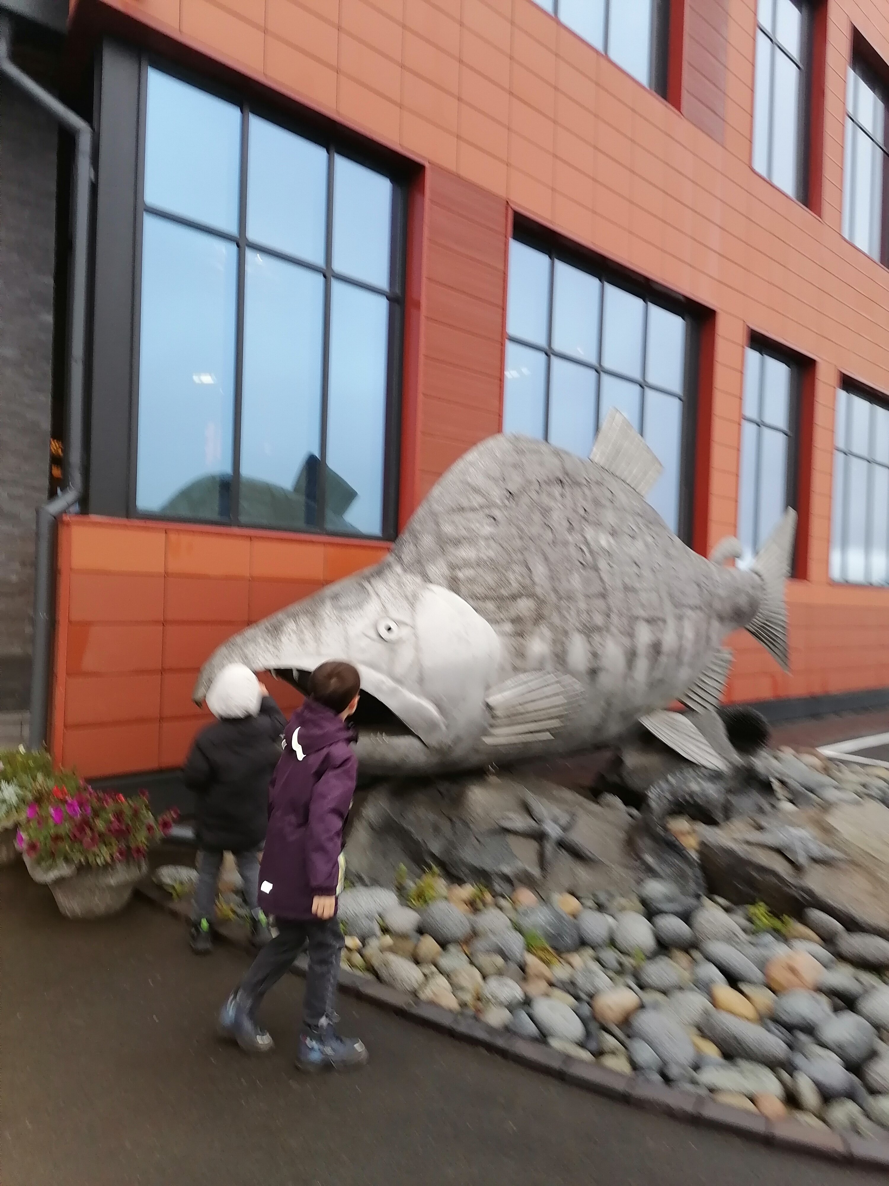 Фото Территория