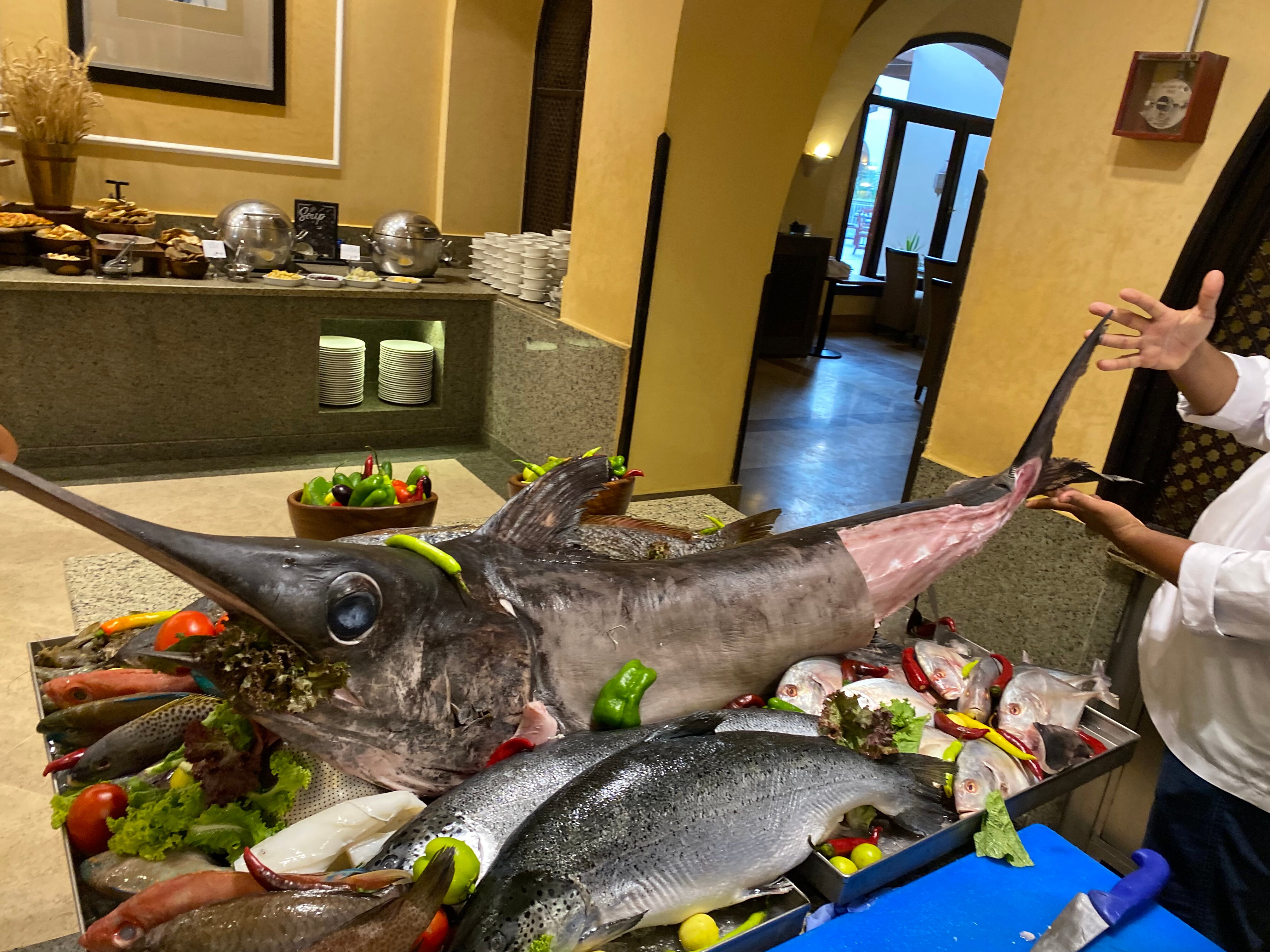 Фото Джаз Макади Стар & СПА