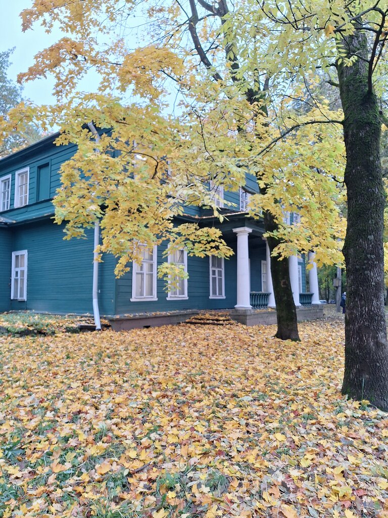 Atracción Дворец великого князя Михаила Павловича, , foto