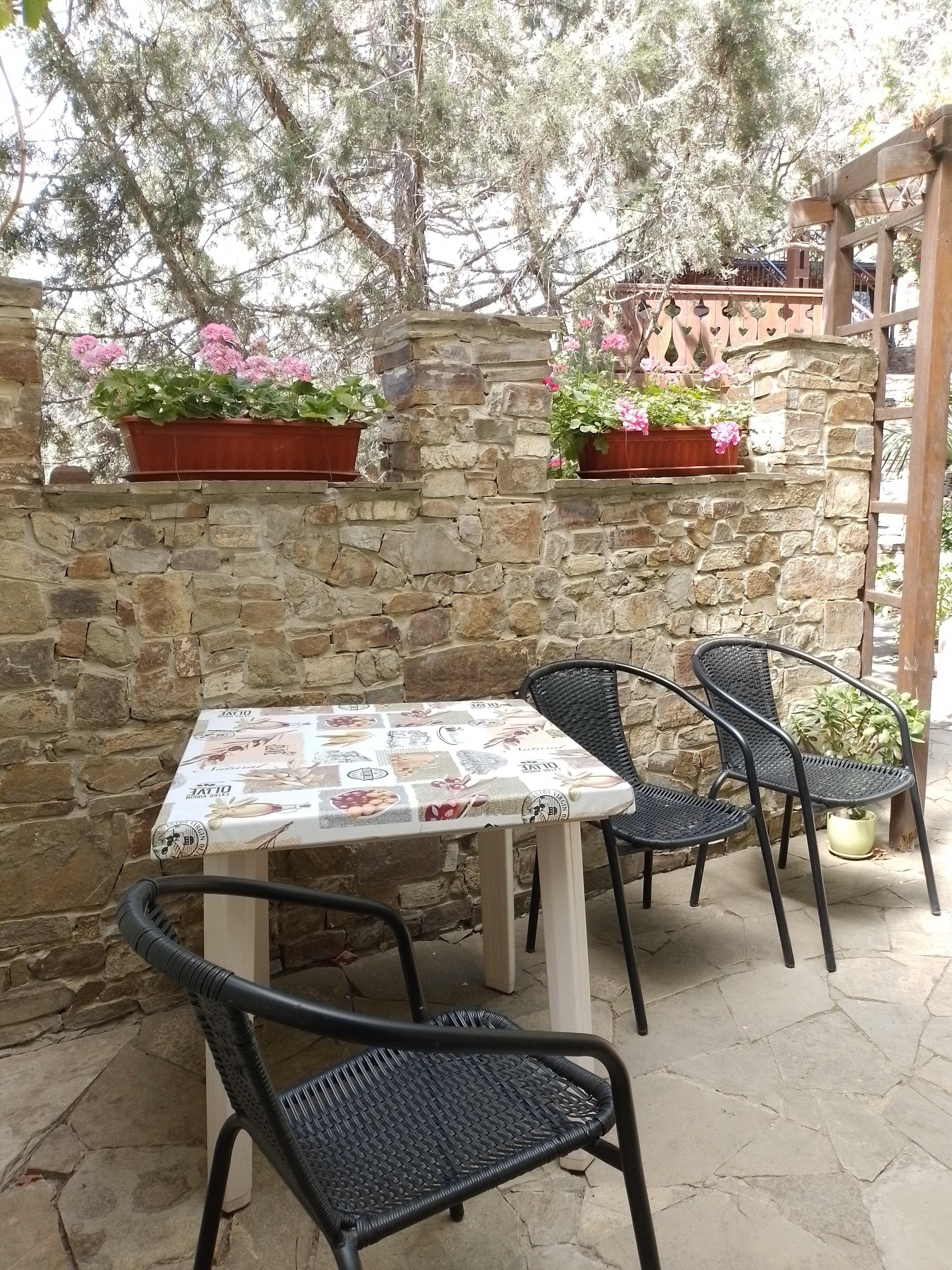 Фото Шаляпин Хаус