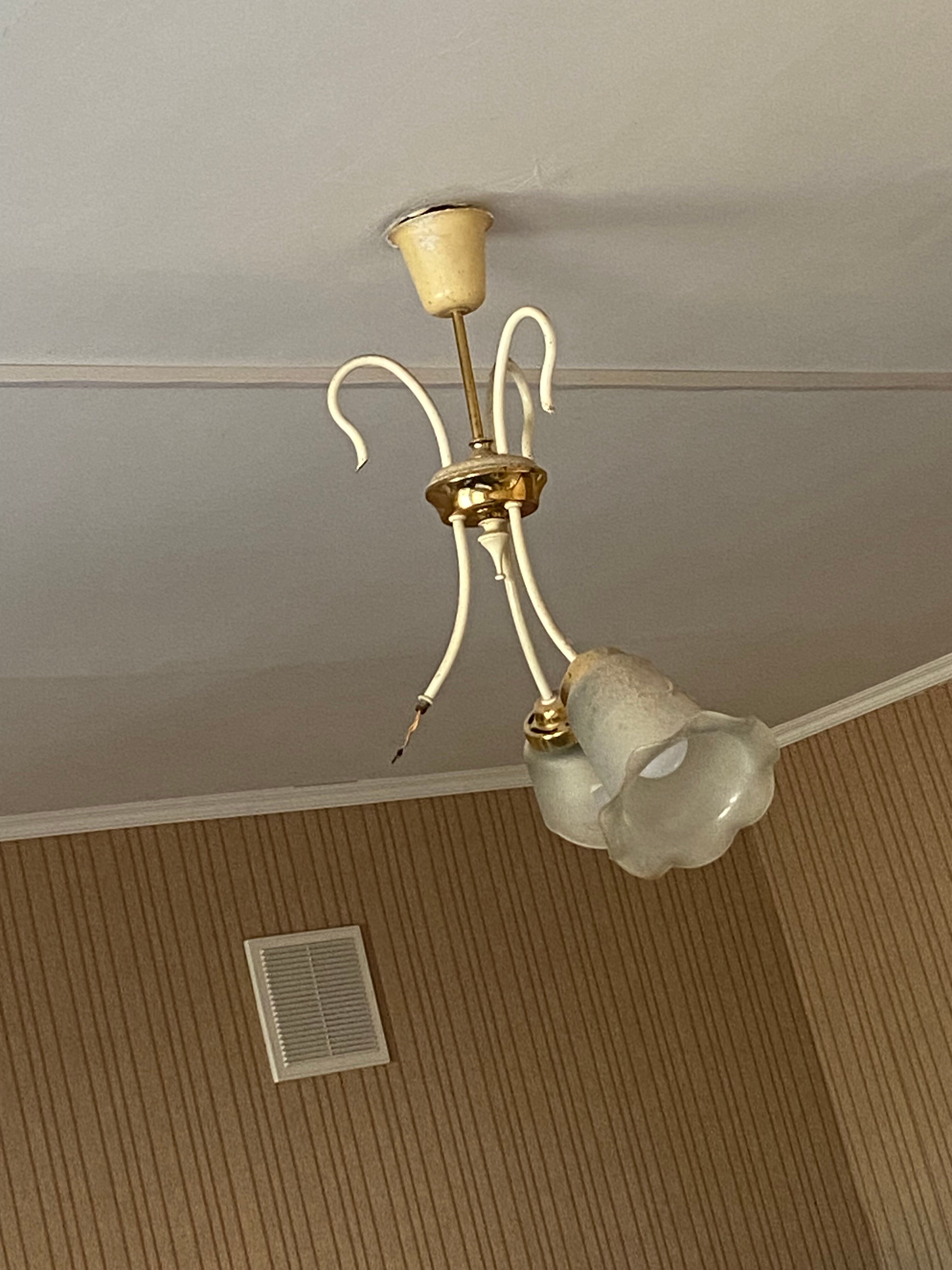 Фото На Бульваре