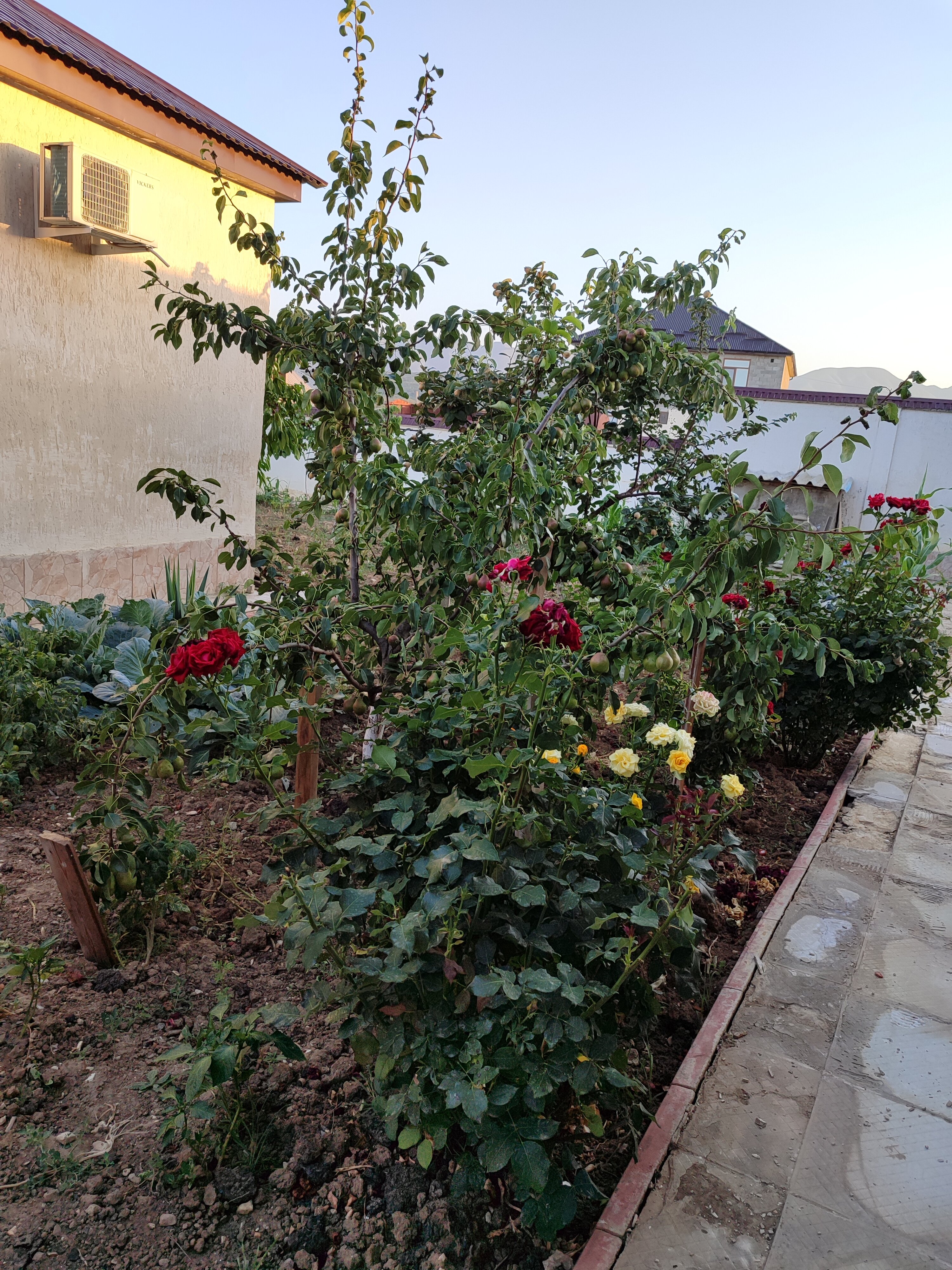 Фото Ника центр