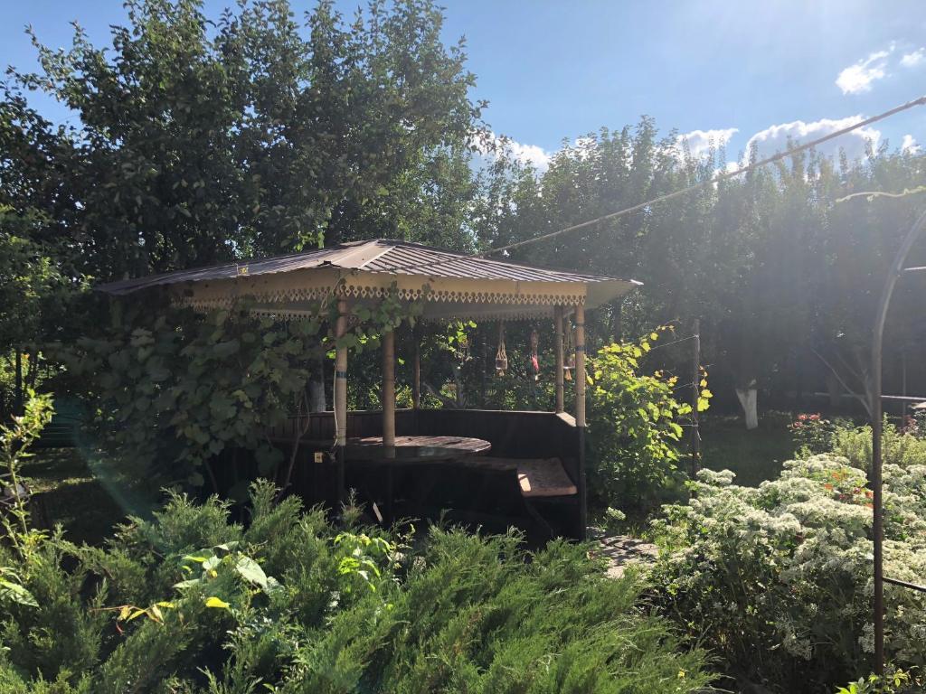 Фото Санта Мария