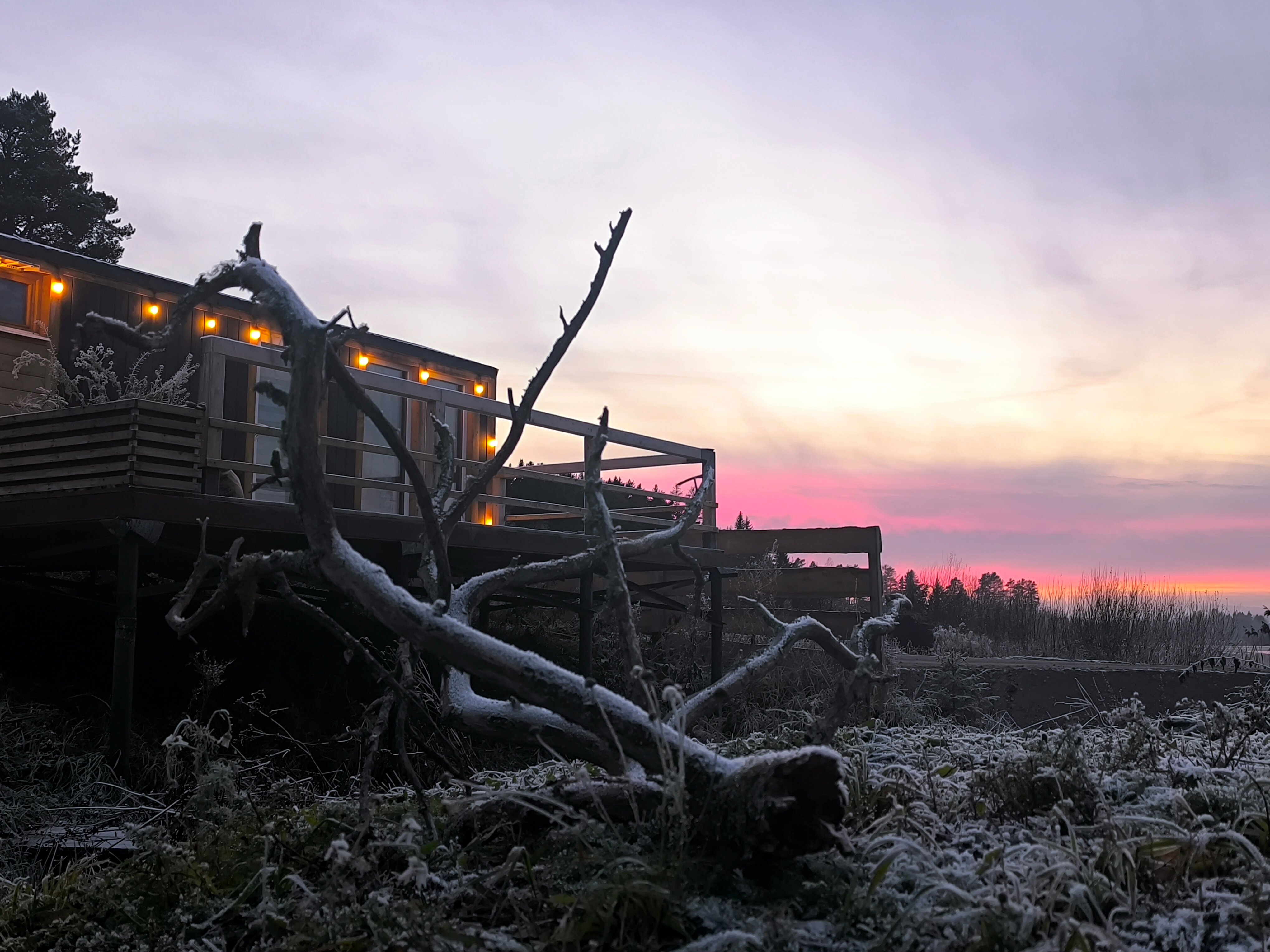 Фото Ёлки-Ладога