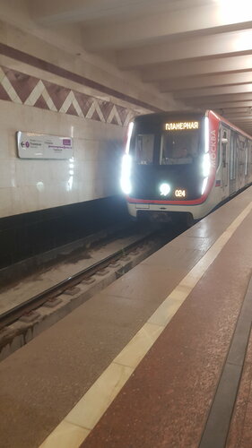 Бес мүше секс