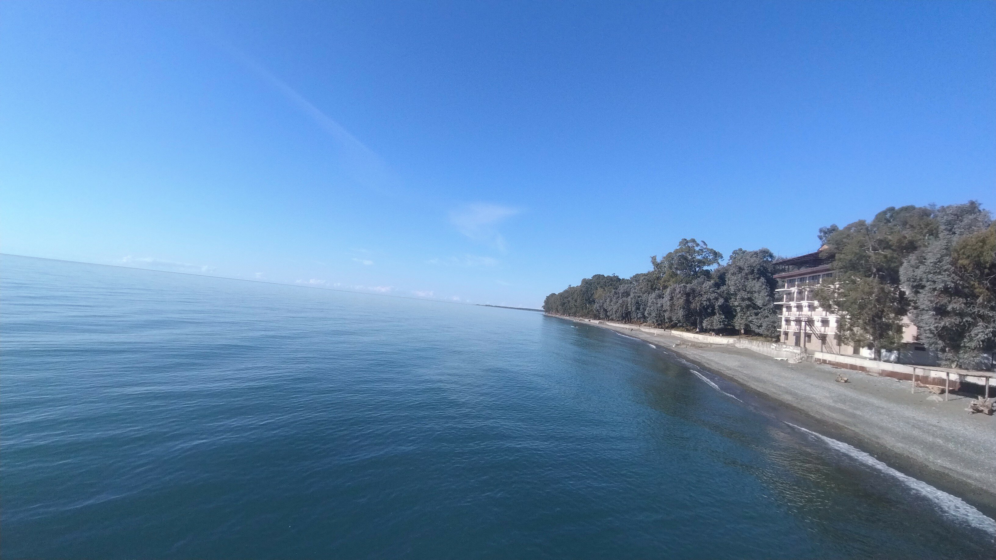 Фото Эвкалиптовая роща