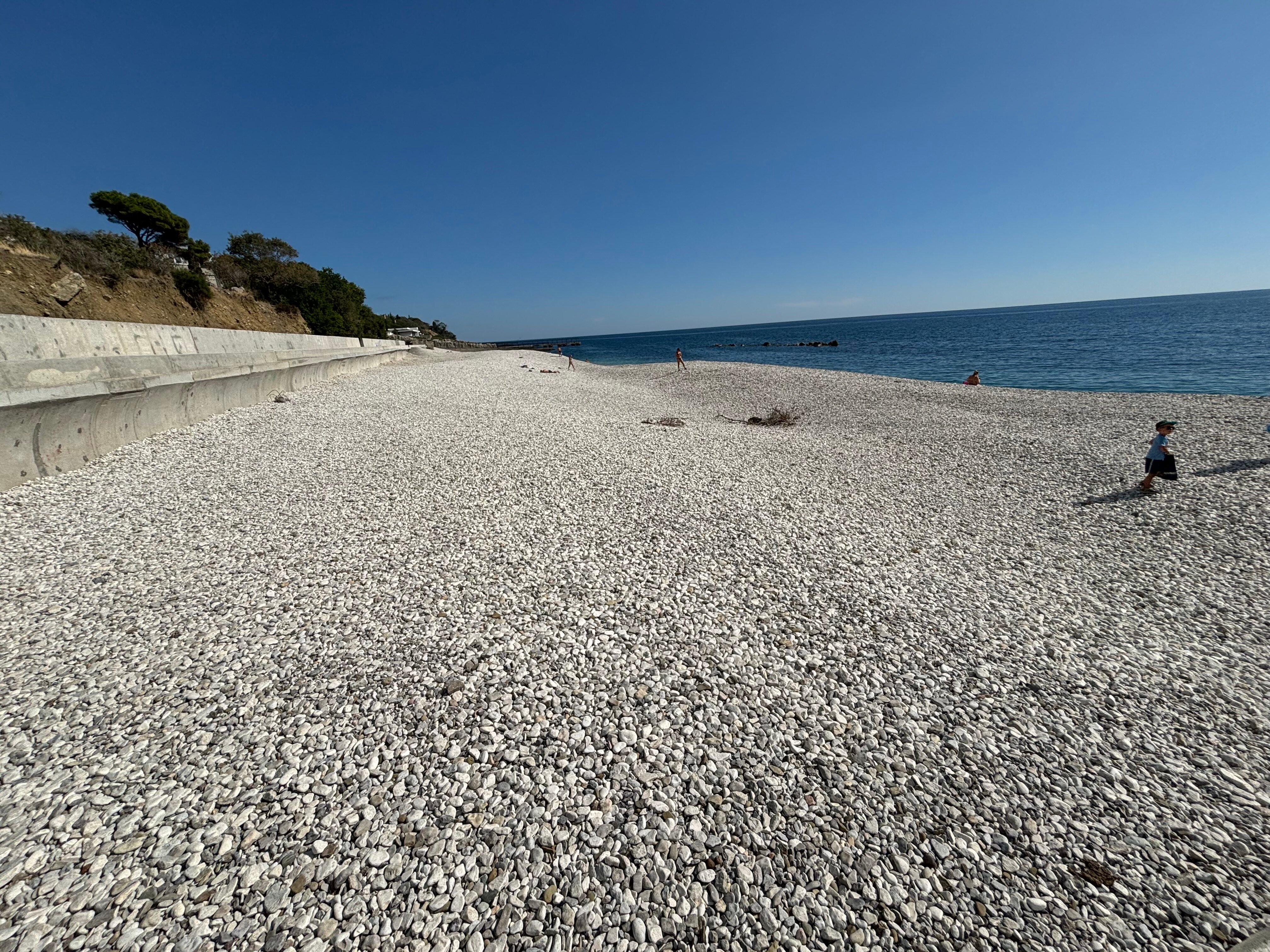 Фото Бархатный сад