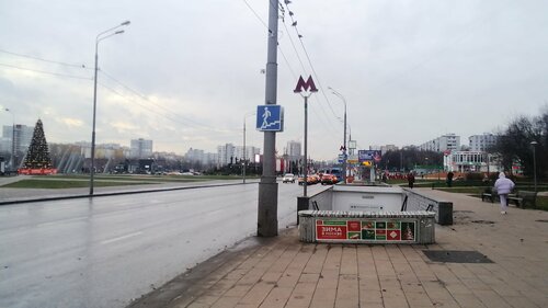 19 ғасырдағы порно