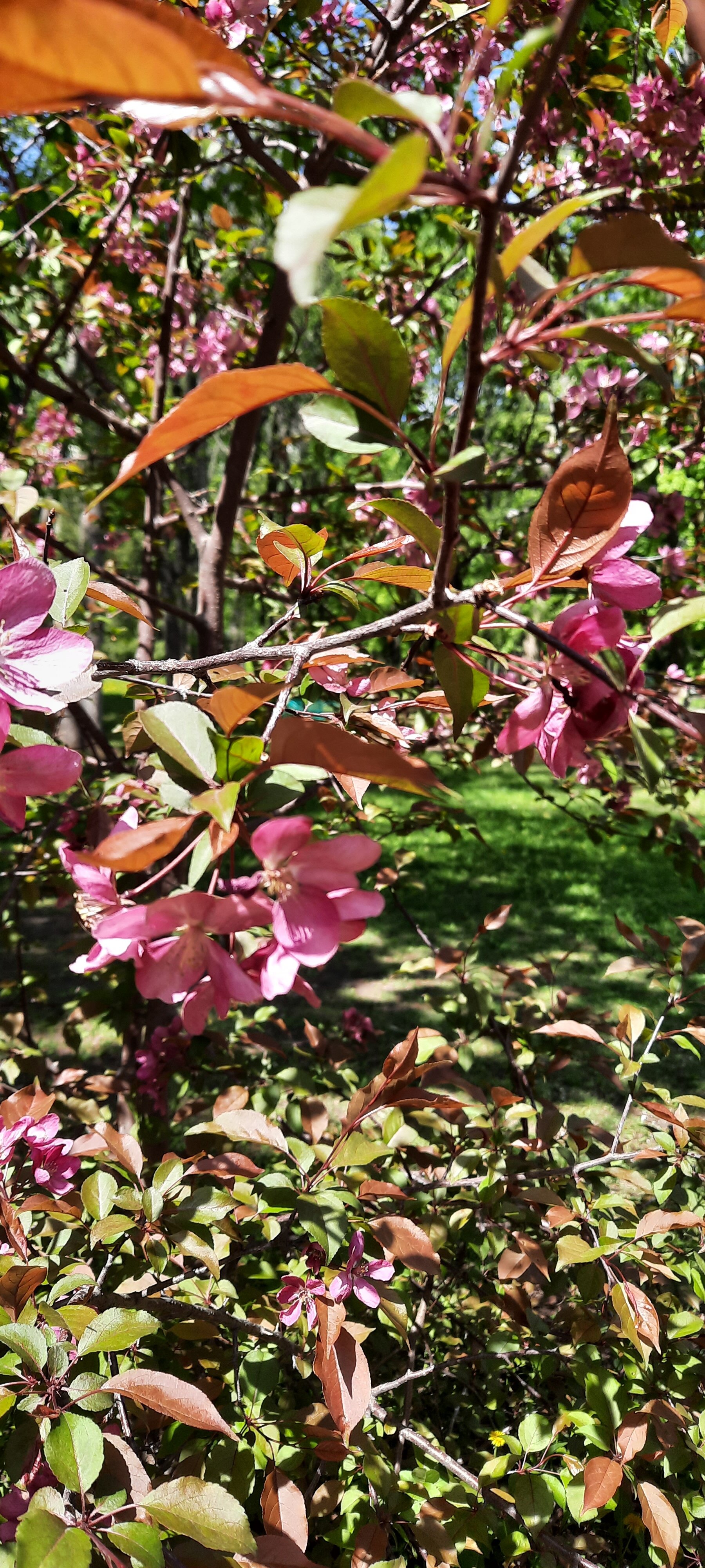 Фото Зеленая Роща