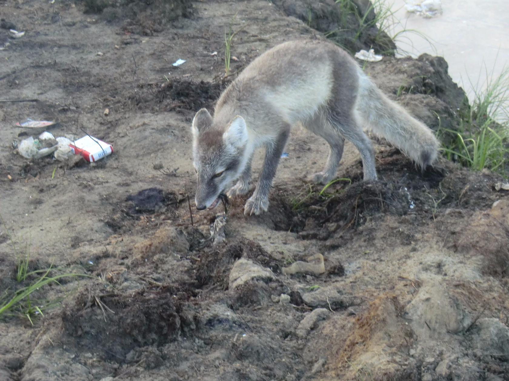 Фото Жить просто