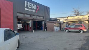 Fenix (Leo Tolstoy Street, 106/2), car service, auto repair