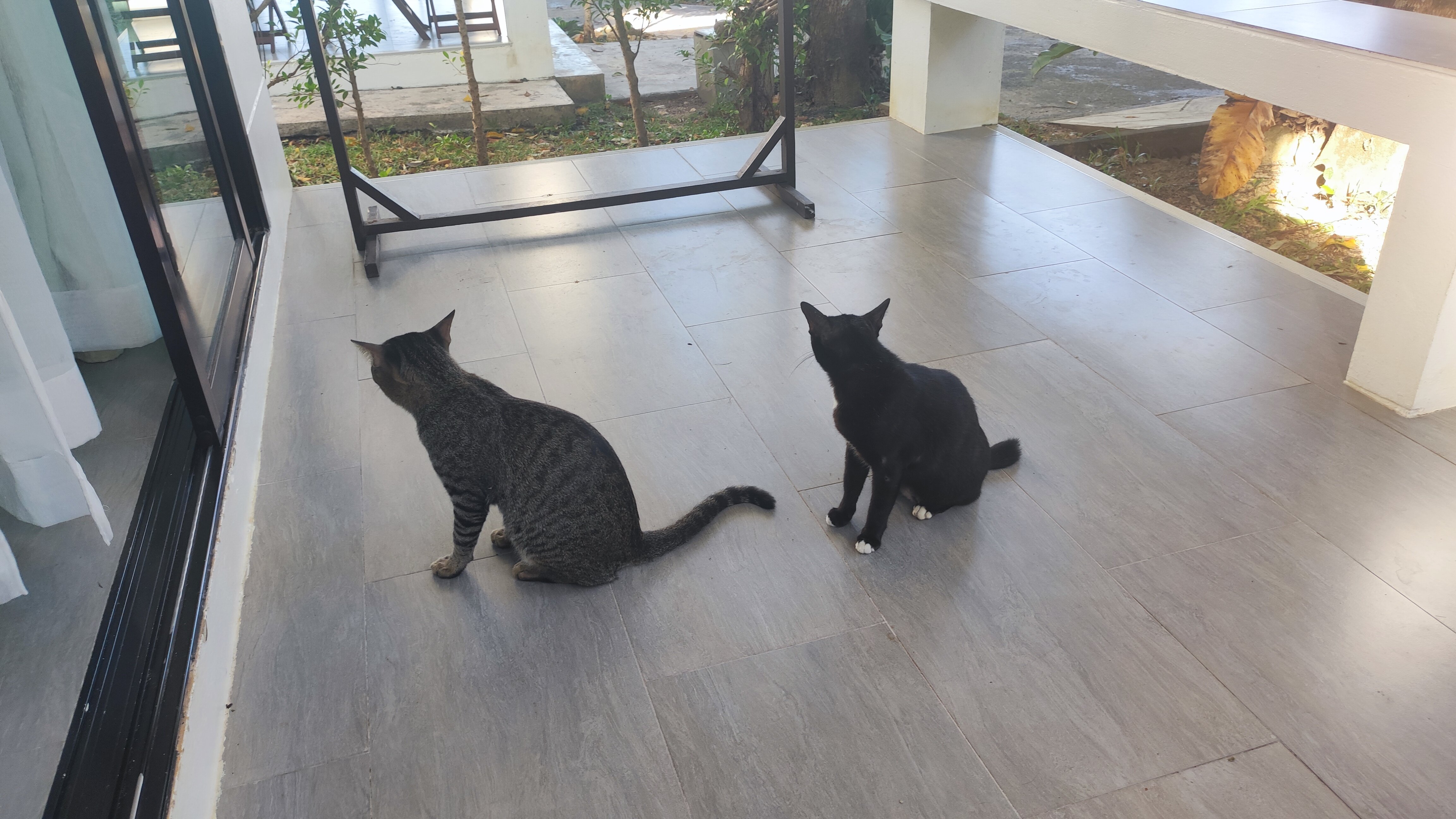 Фото Koh Chang Grandview Resort