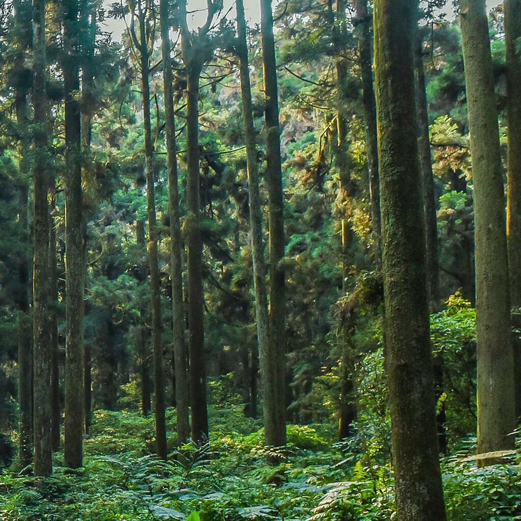 Computer repairs and services Entry Information Technology Micro Business Partner - Sales Service, Istanbul, photo