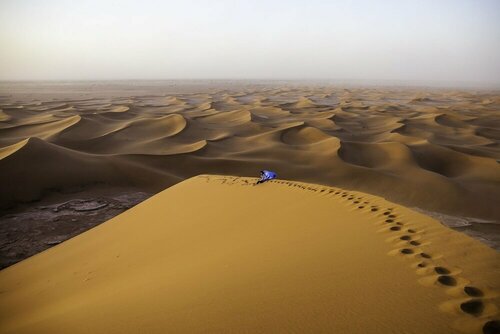 Гостиница Desert Bivouac