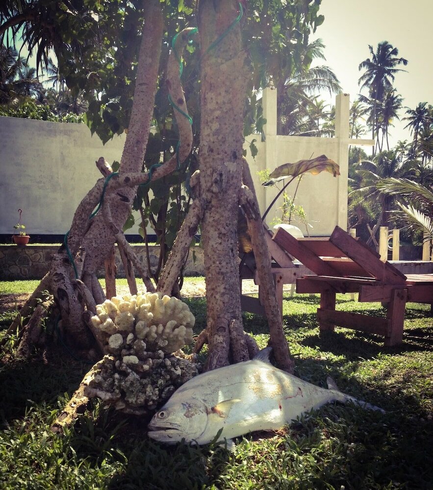 Фото Mirissa Seastar