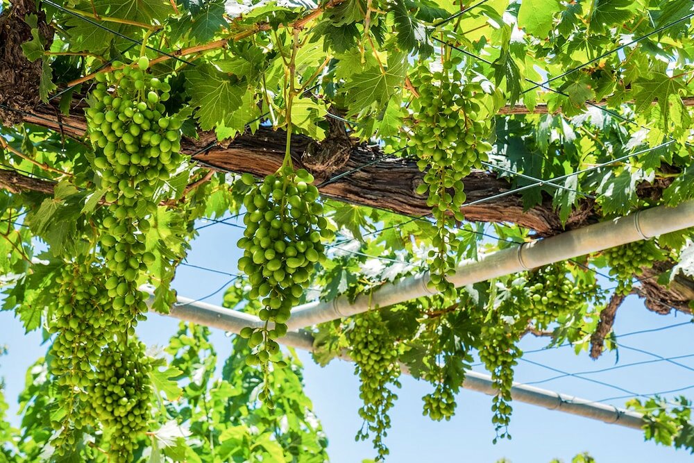 Фото Villa Porto