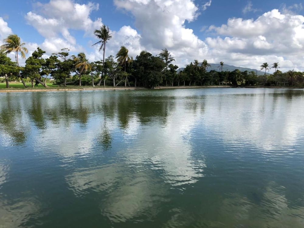 Фото HoTian Farm