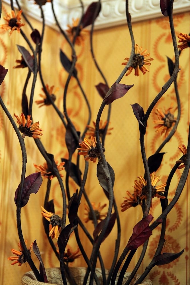 Фото Hotel Hollywood